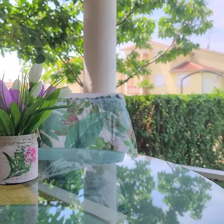 Roko Apartment Novigrad Istria
