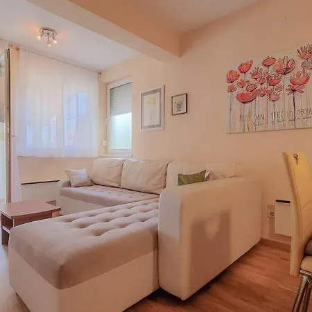 Roko Lägenhet Novigrad Istria