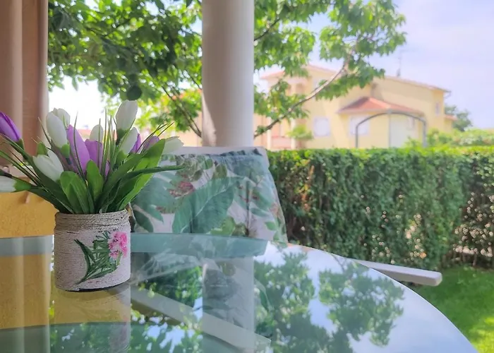 Roko Appartement Novigrad Istria