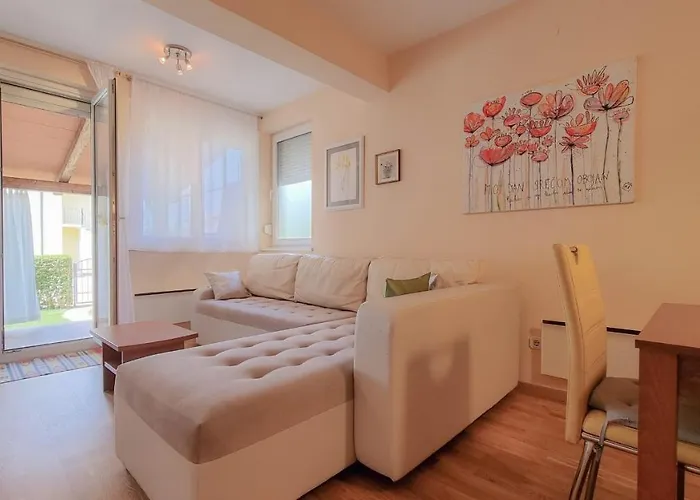 Roko Appartement Novigrad Istria