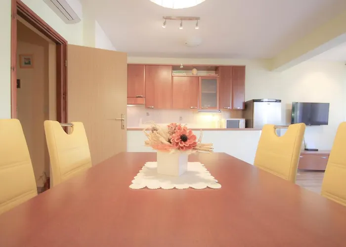 Roko Appartement Novigrad Istria